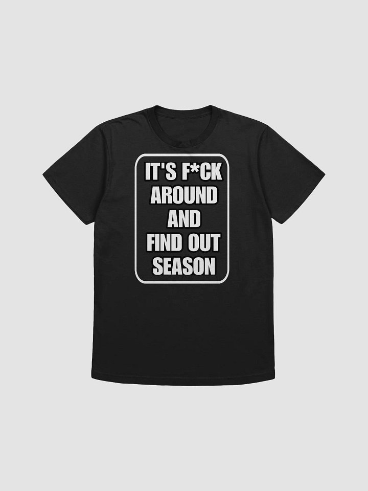 It's F*CK AROUND AND FIND OUT SEASON TEE product image (1)