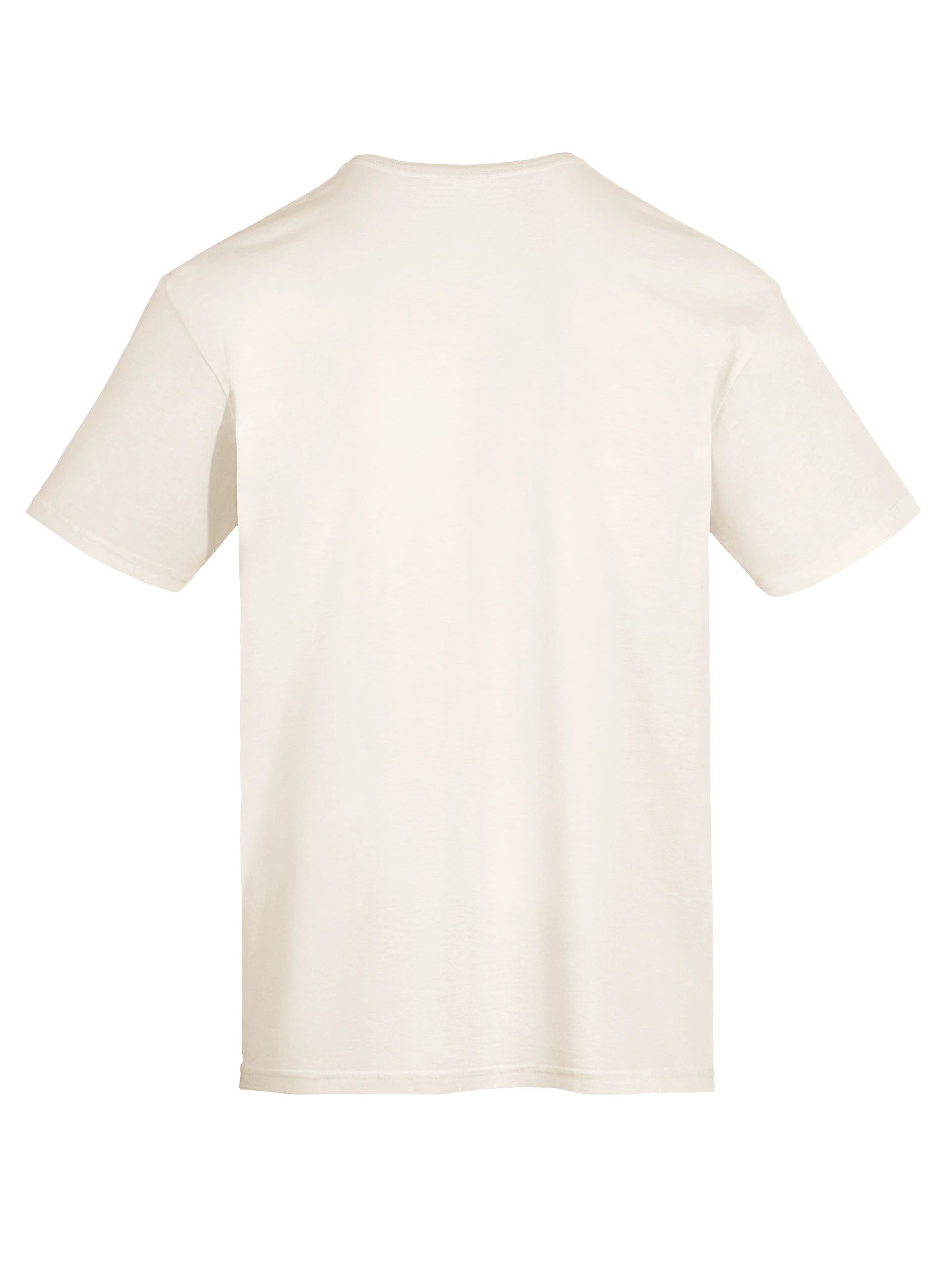 Strange Smell in My Attic T-Shirt product image (9)
