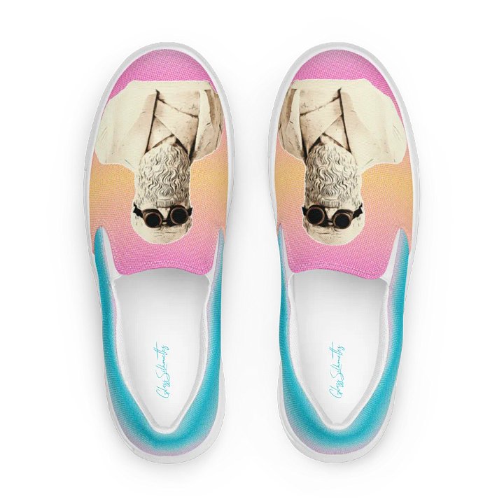 Darwinism Women's Slip-On Canvas Shoes product image (1)
