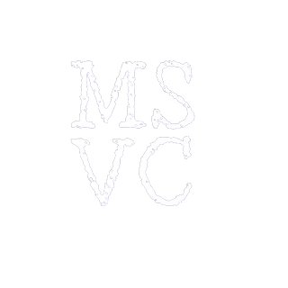 MSVlogCreation