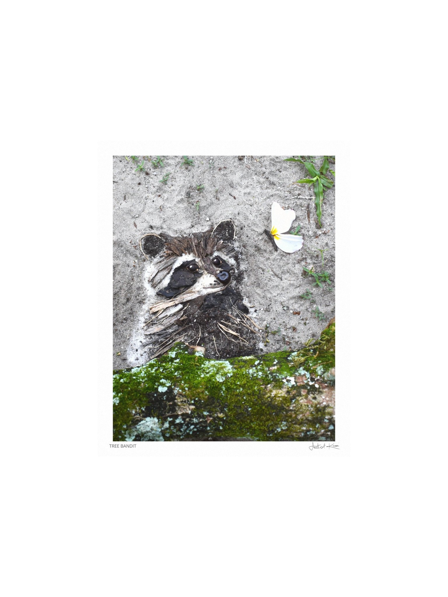 TREE BANDIT | Nature Art Print product image (1)