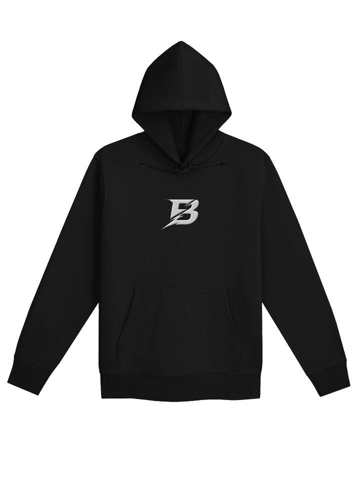 Birexsie Hoodie product image (1)