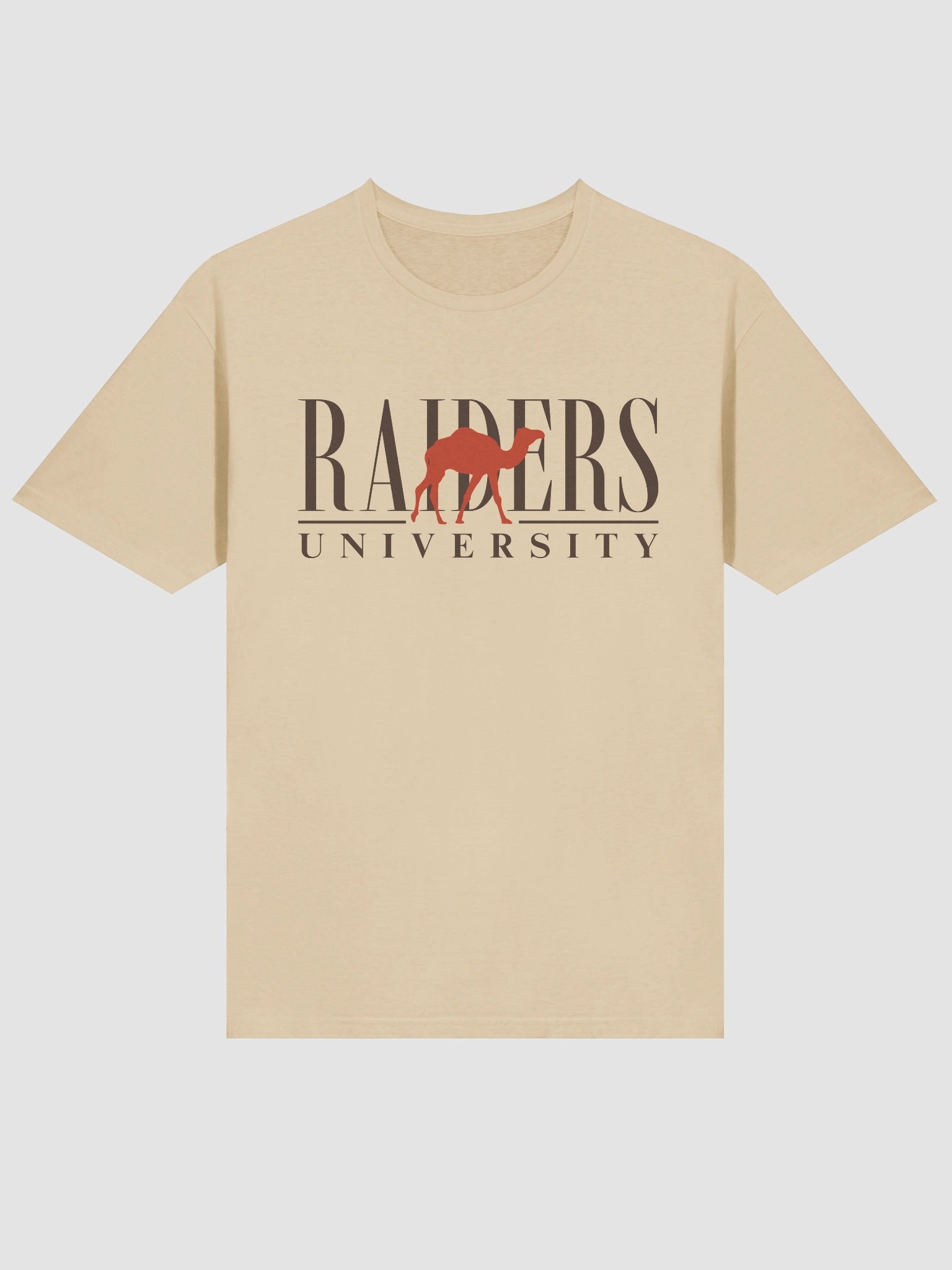 Raiders University Tee product image (3)