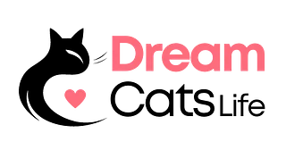 Dream Cats Life