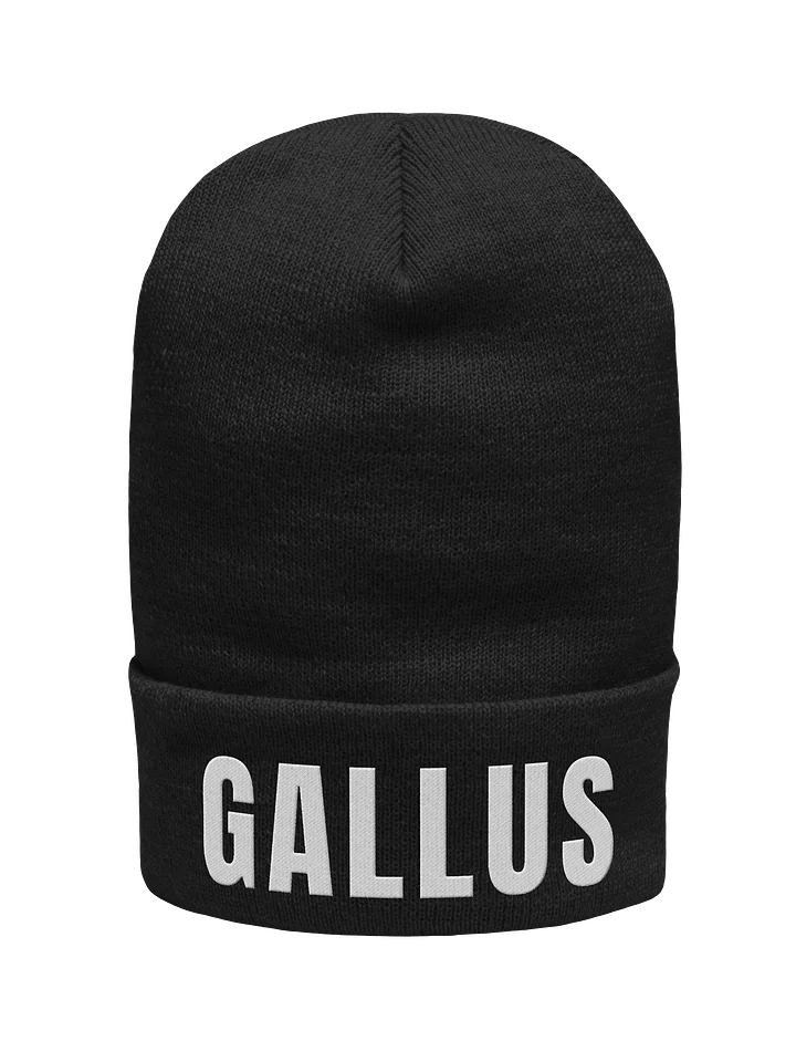 Gallus Beanie Large Font product image (1)