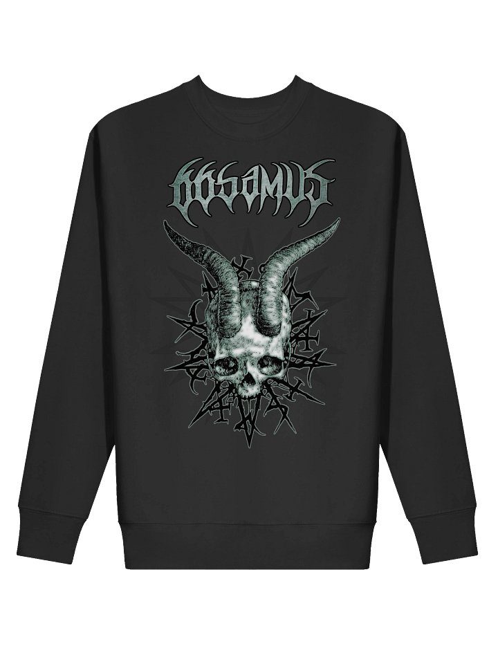 Chimaglyphics sweatshirt product image (2)