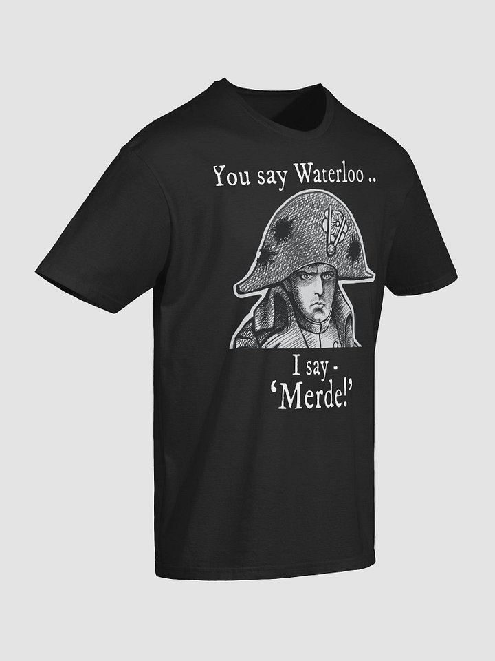 Napoleon's Waterloo: funny history T-shirt product image (7)