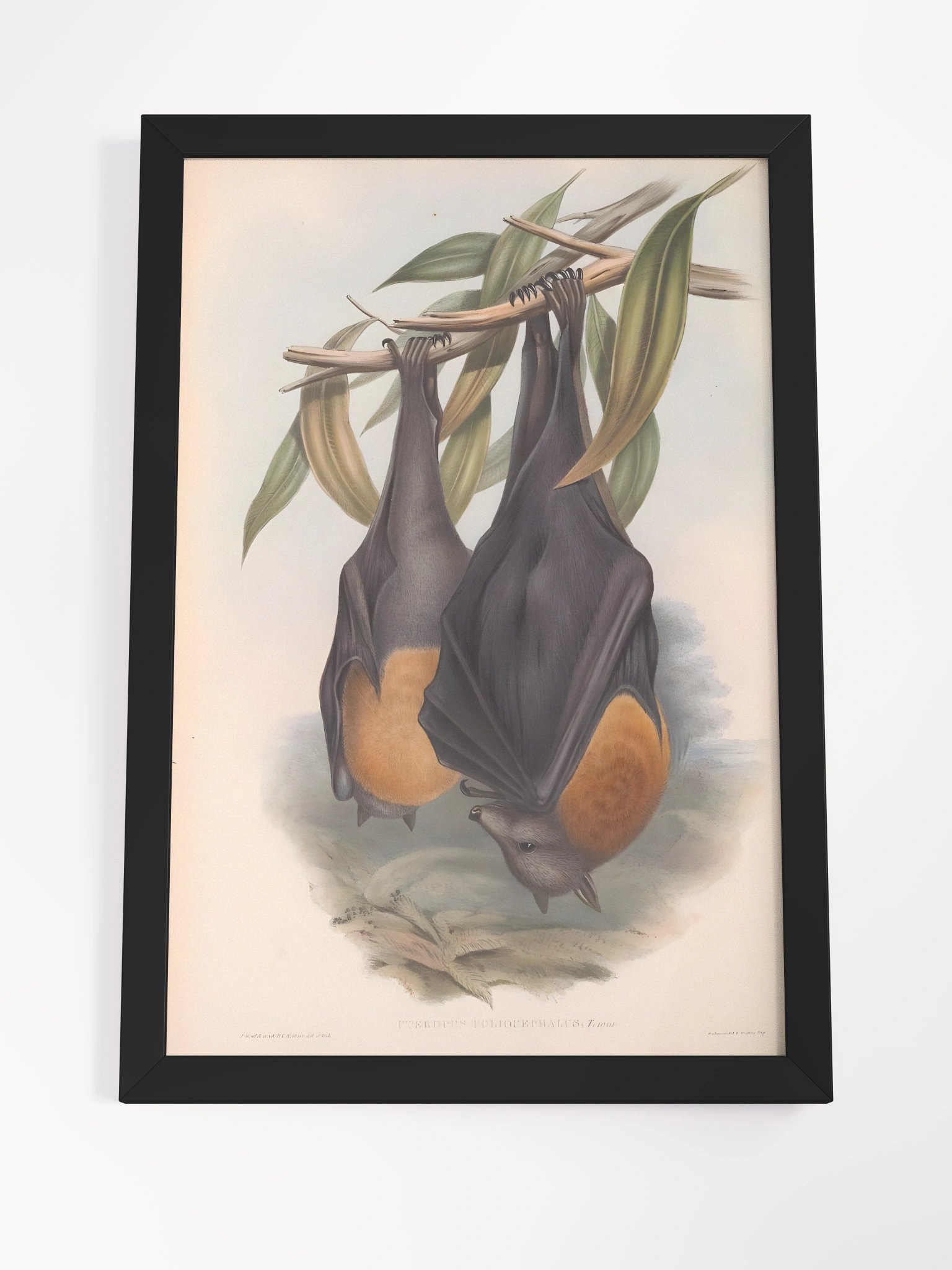 Framed Print - Gothic Halloween Decor 'Midnight Flight' product image (4)