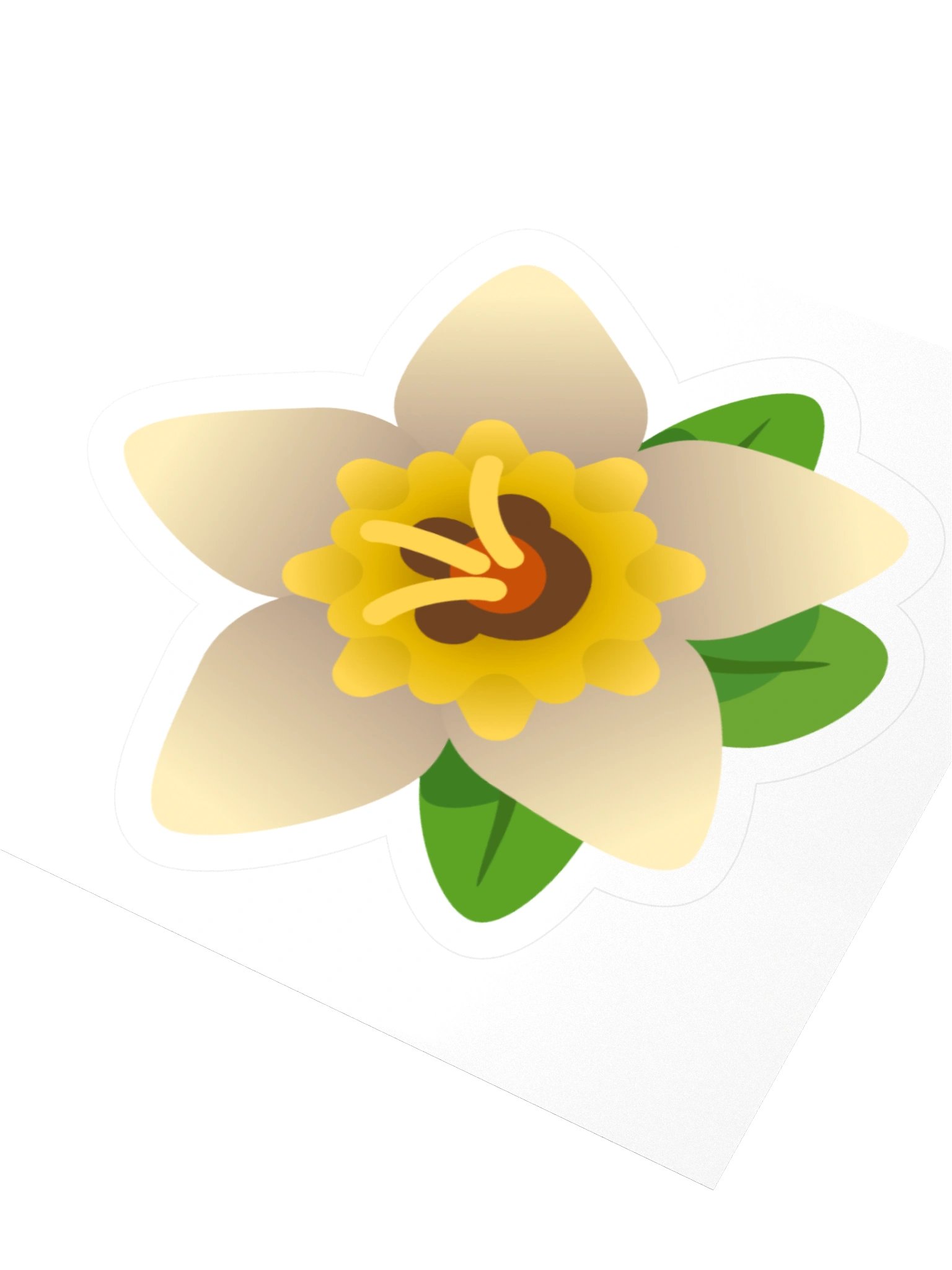 Daffodil product image (3)