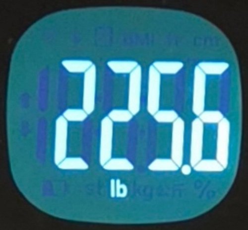 -Week 19 Fitness Update-
Last Week: 229.8lbs(104.2kg)
Current: 225.6lbs(102.3kg)

Broke 70lbs lost at 72.2lbs(32.7kg)! The fi...