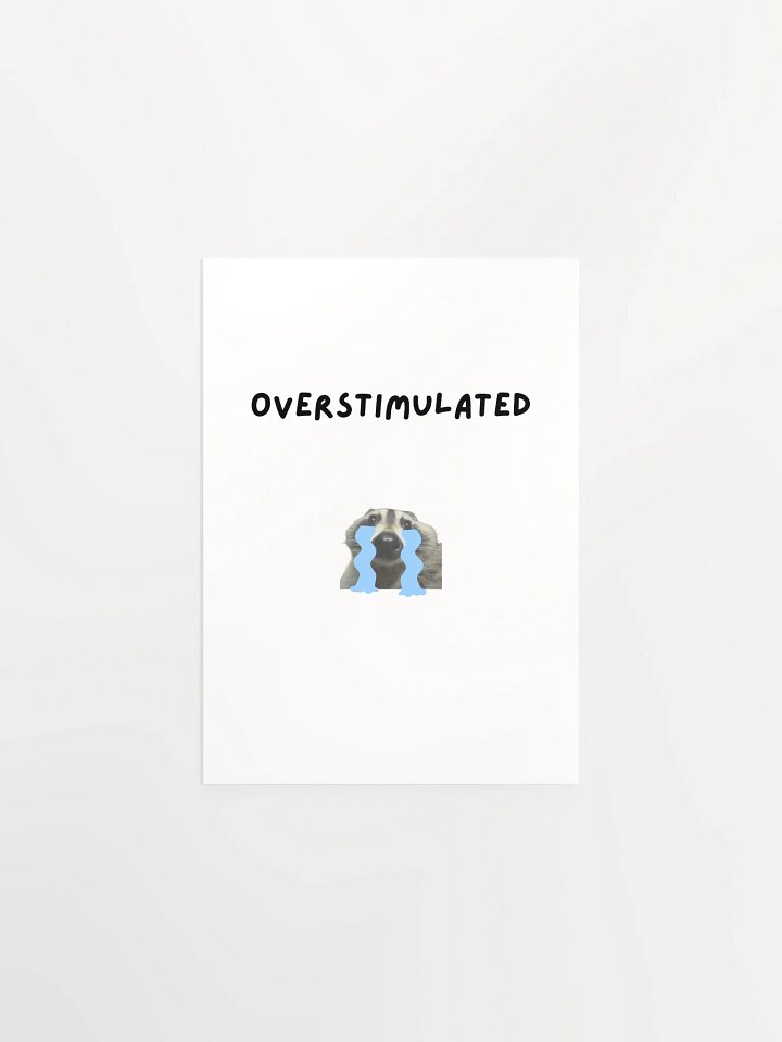 Overstimulated - Raccoon Poster product image (2)
