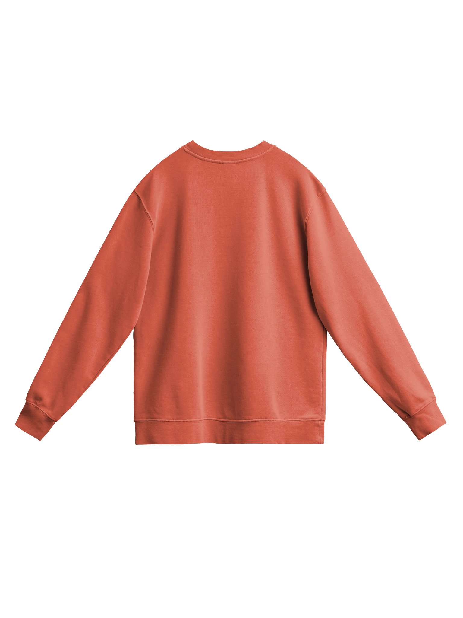 Premium Fitted Long Sleeve Crew product image (2)