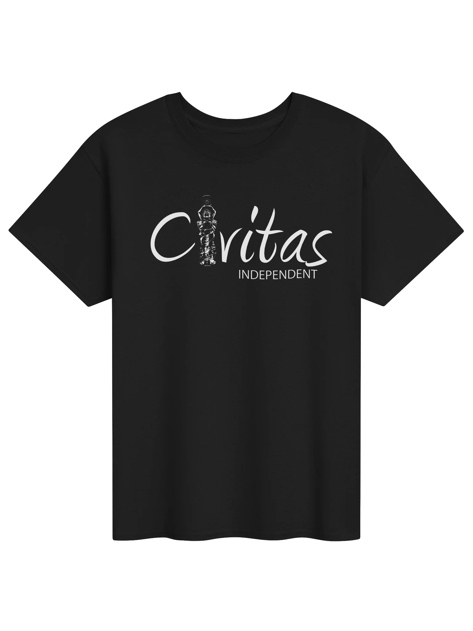 Logo T-Shirt (White Logo) product image (1)