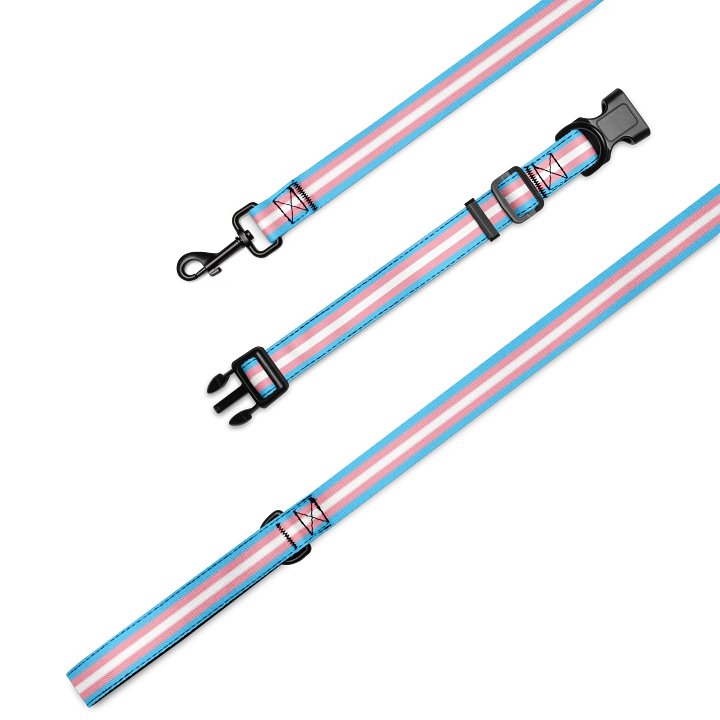 Trans Pride Flag Pet Collar & Leash product image (1)