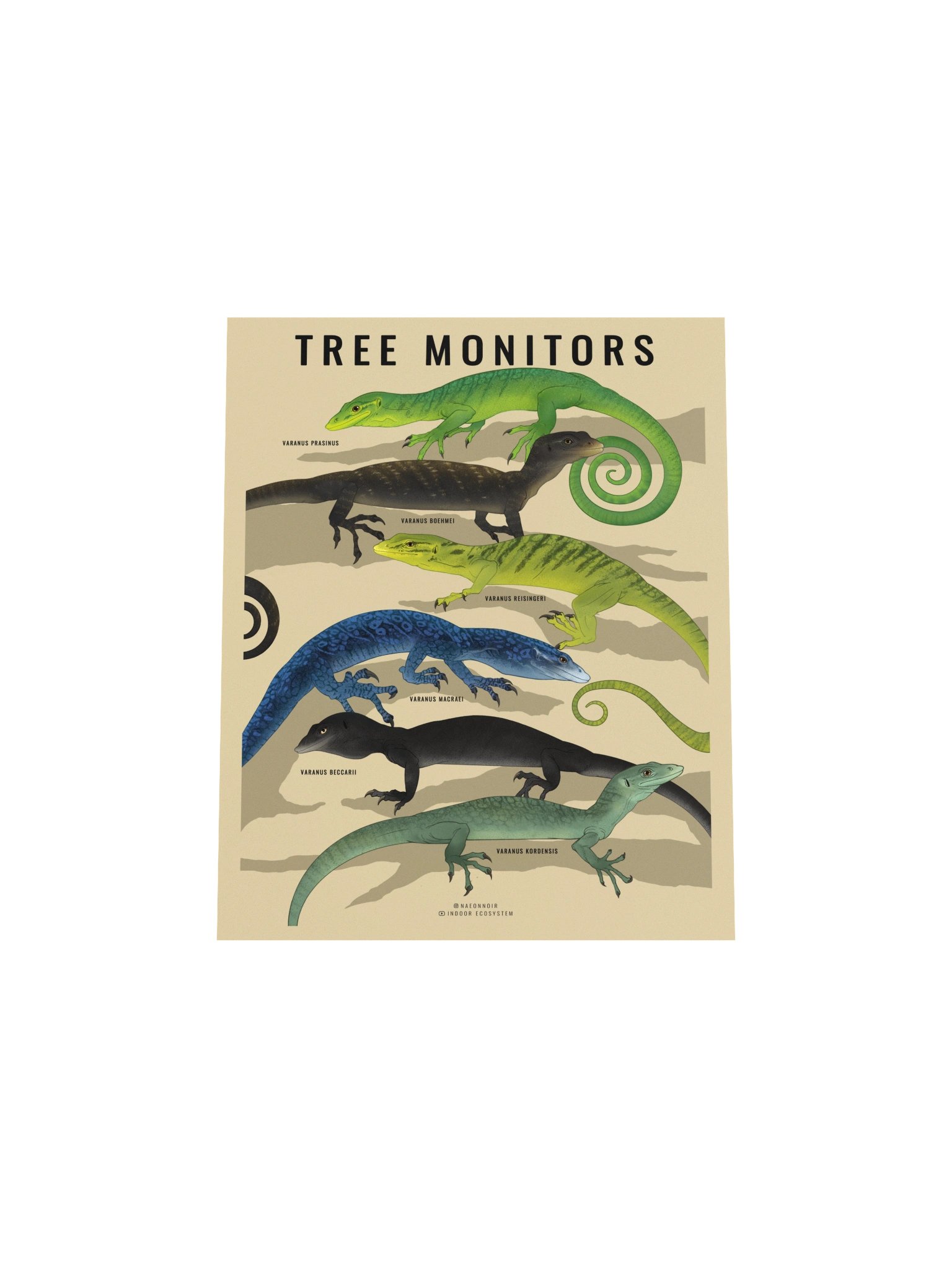 VARANUS TREE MONITOR POSTER (CREAM) product image (4)