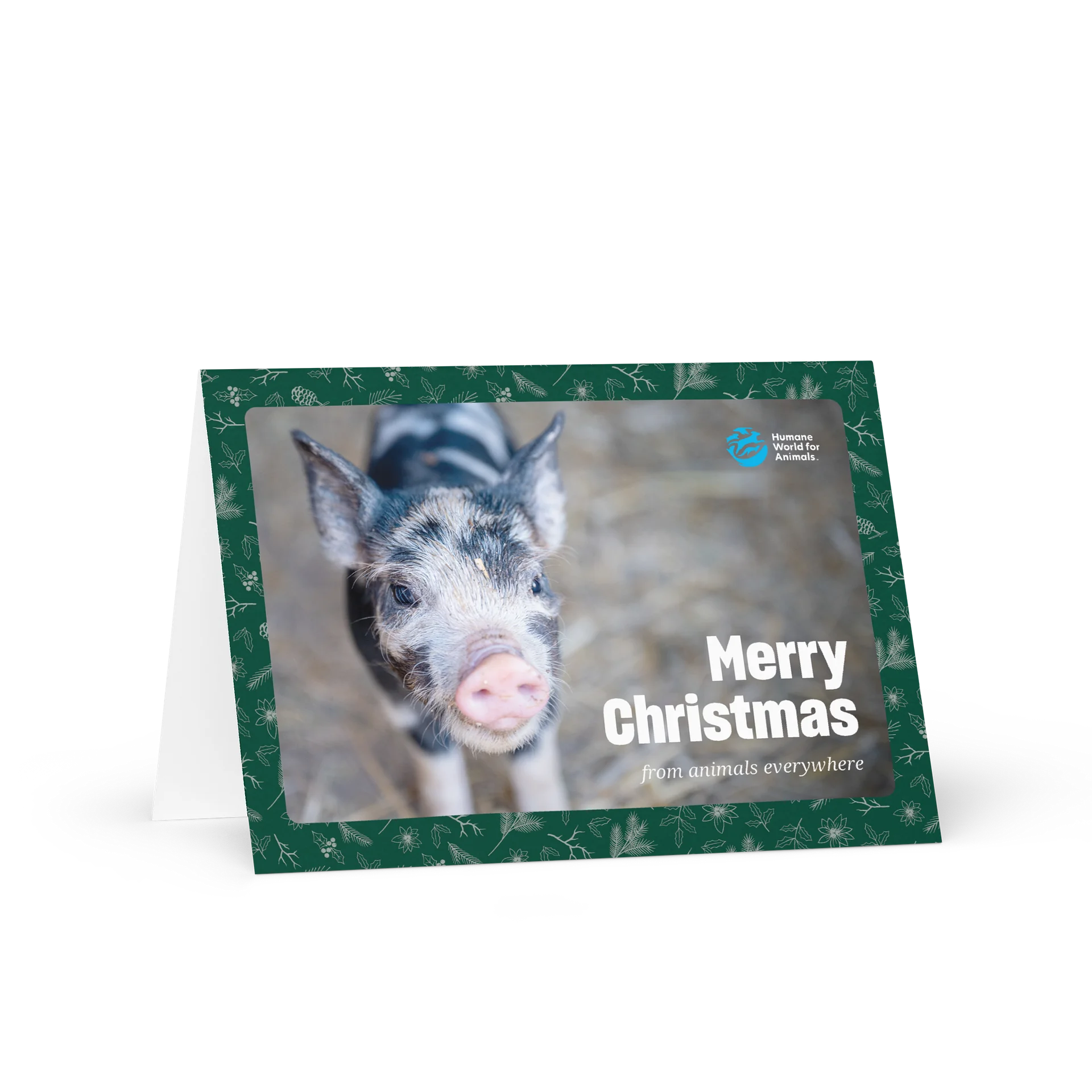 Christmas card - Pig design product image (1)