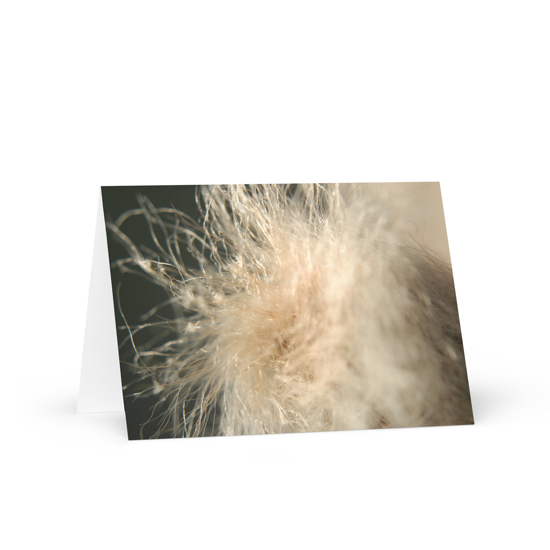 fluff — from "holding" | greeting card | eza | casa de karma product image (1)