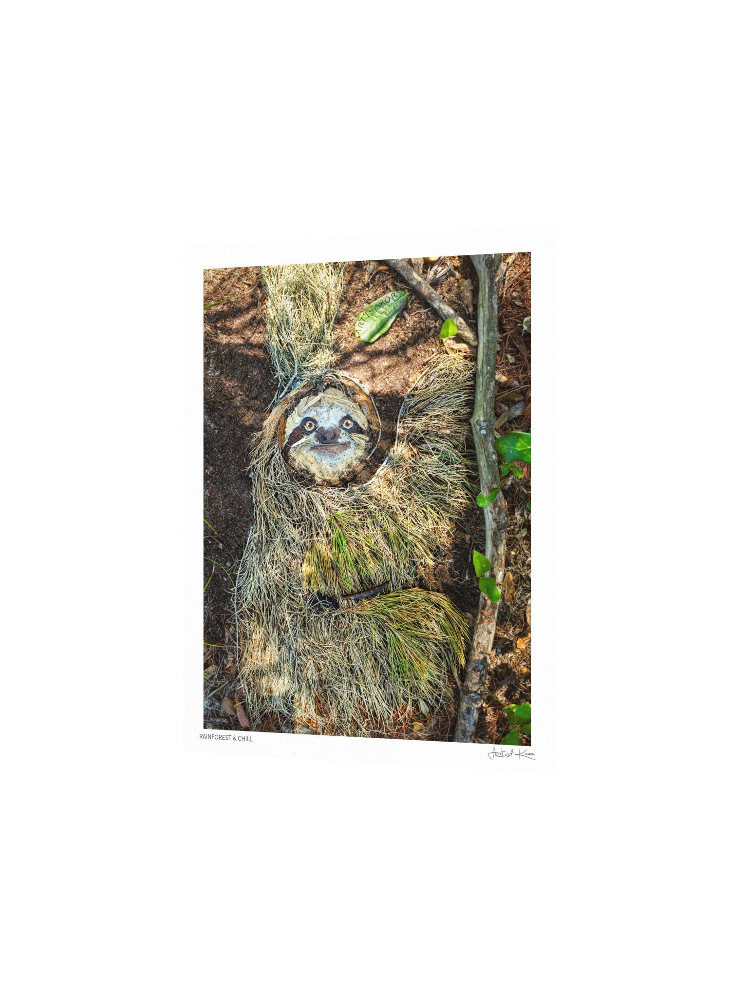 RAINFOREST & CHILL | Fine Art Print product image (4)