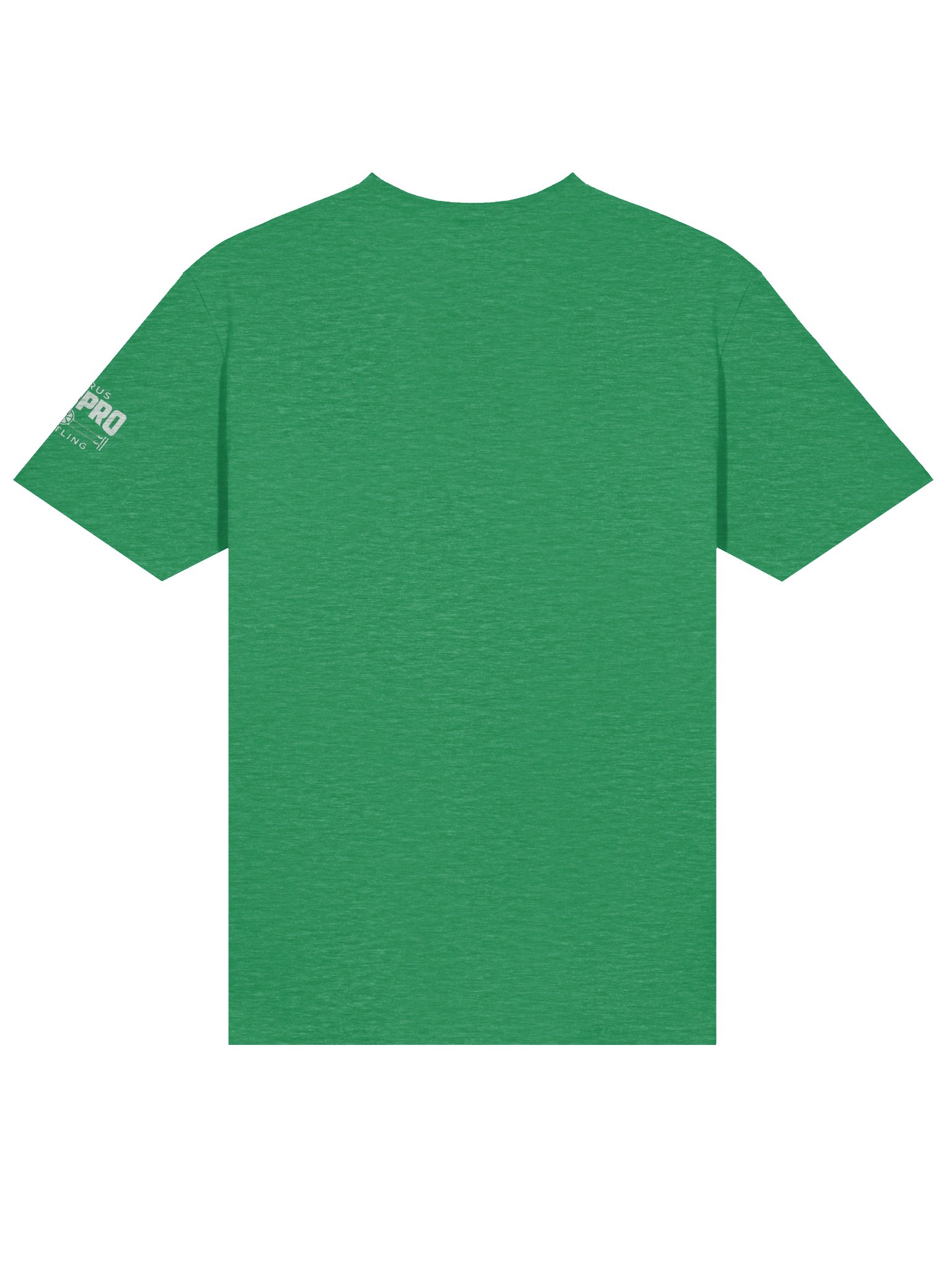 CAPW "The Champ Is Here" Title Tee product image (38)