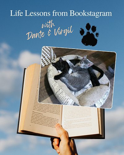 Life Lessons from Bookstagram

🐈‍⬛with Dante & Virgil🐈

“For every book you love and leave a rating and/or review, cats judge...