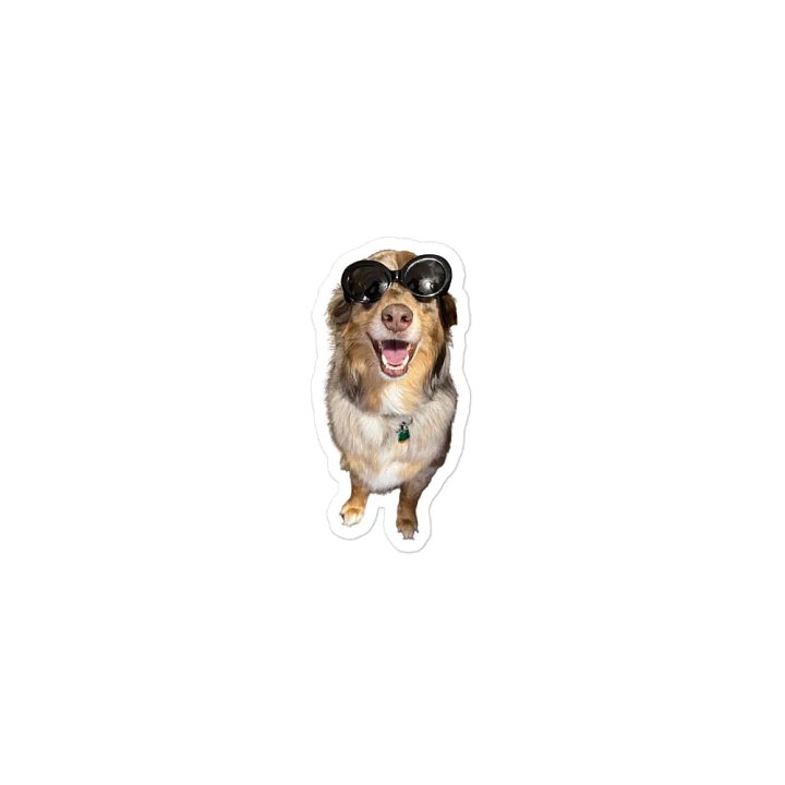 Smudge Magnet product image (1)