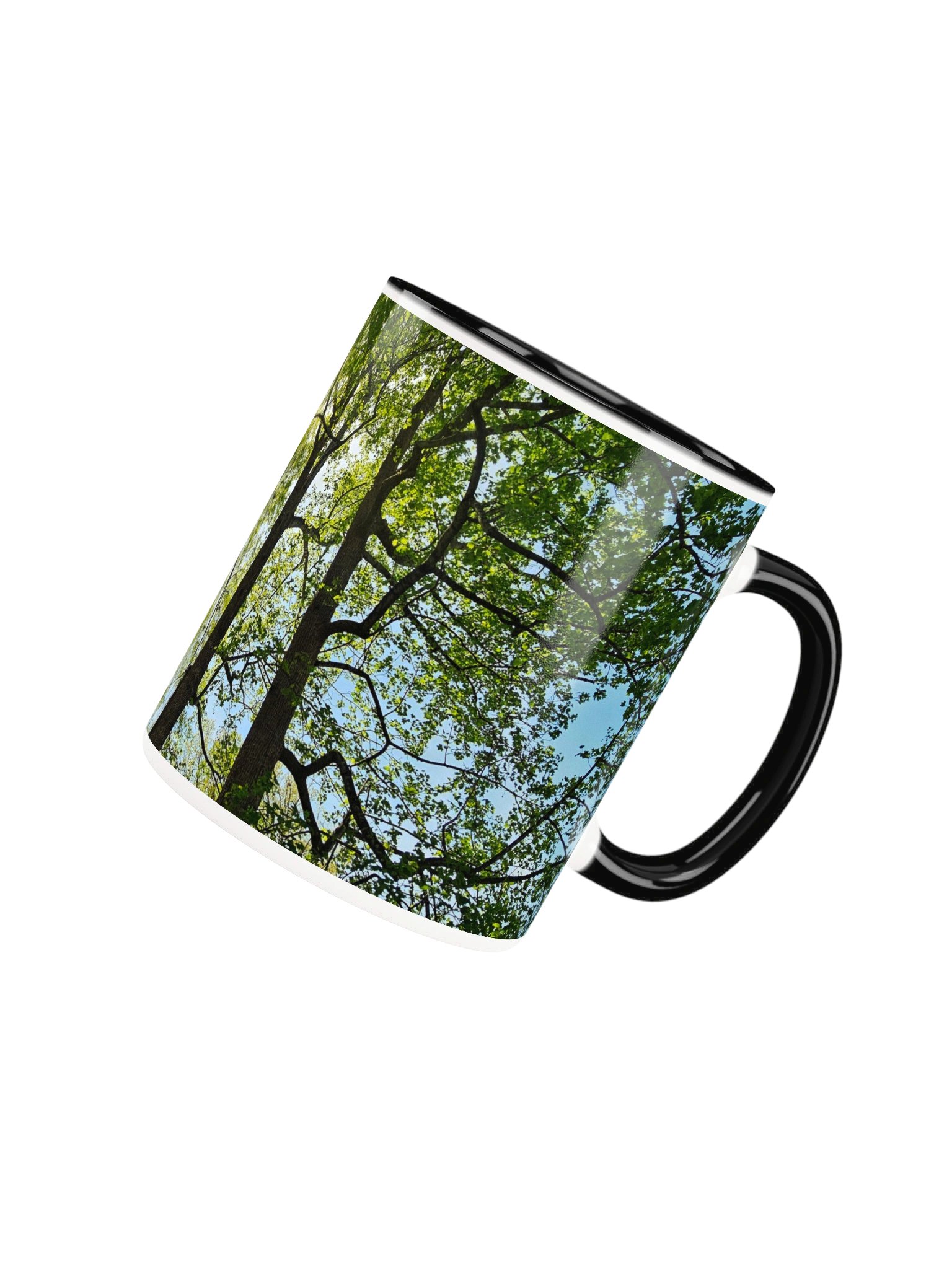 Among the Trees 2-tone Ceramic Mug product image (31)