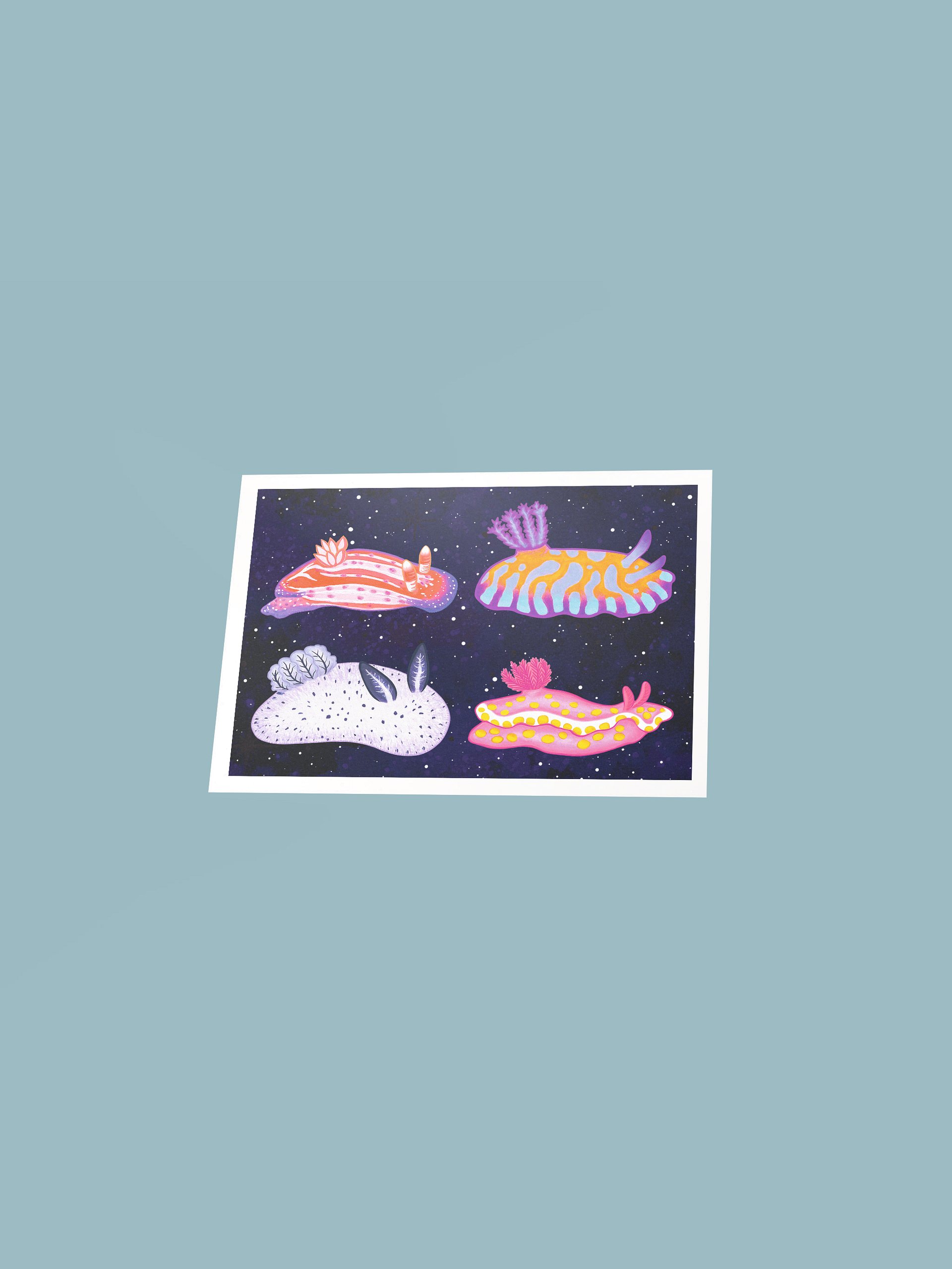 Sea Slugs: Set 1 - Print product image (3)
