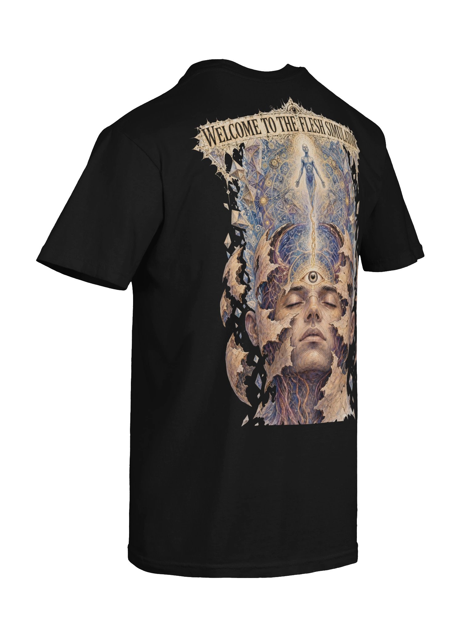 WELCOME TO THE FLESH SIMULATOR (Heavyweight) product image (8)