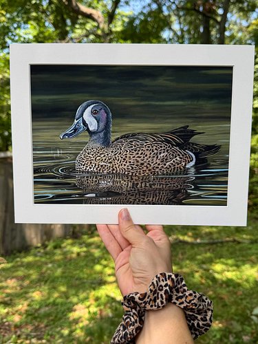 a little bit of ✨SUMMER✨ for you. first: my DUCK STAMP ENTRY which I will be judged upon this very Thursday. 

the rest is ar...
