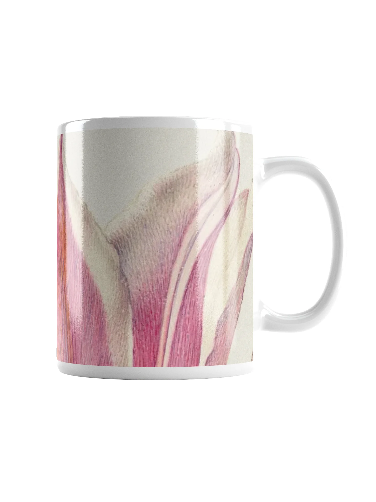 Tulip Delight Mug product image (1)