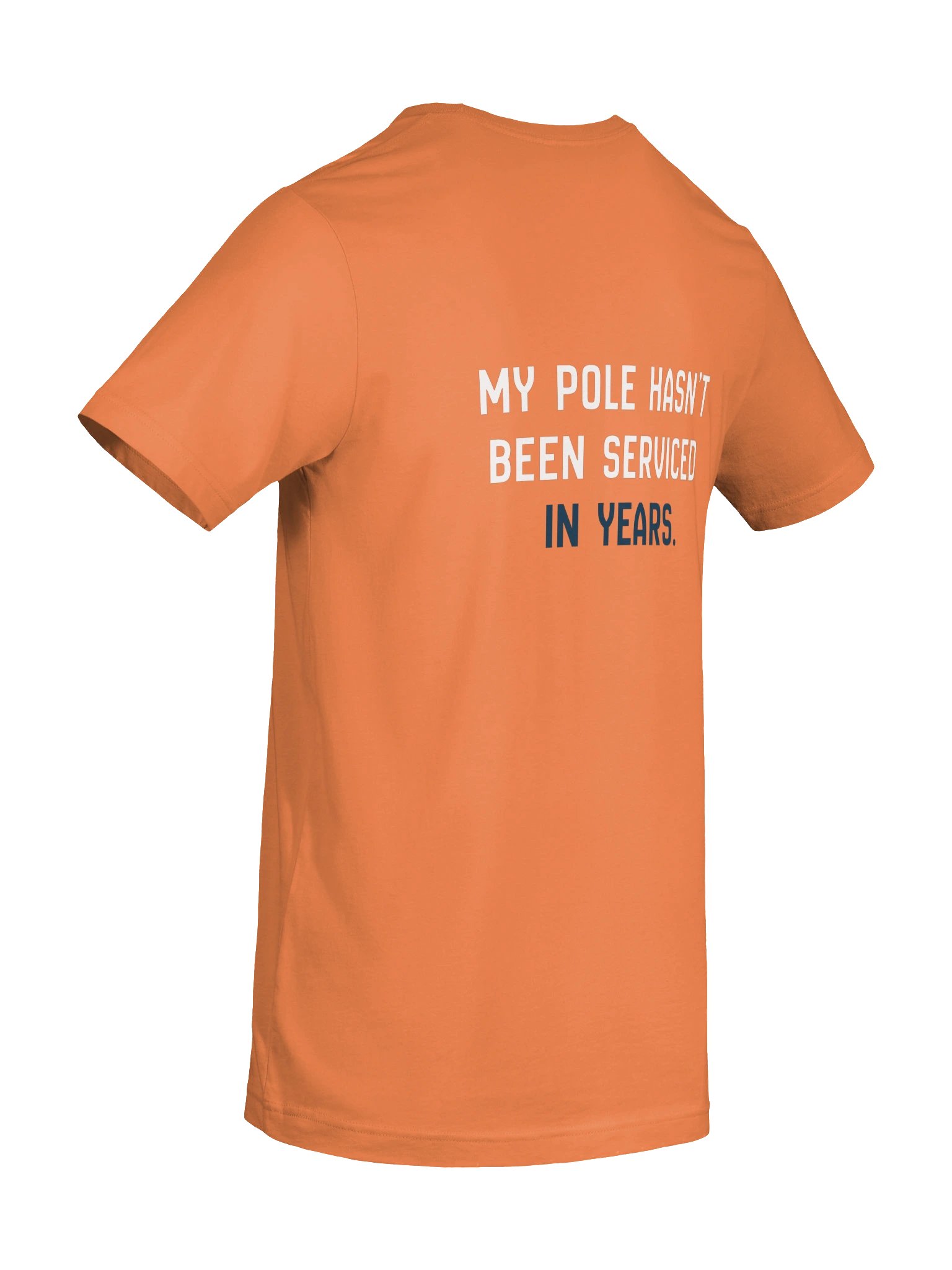 My Pole Hasn't Been Serviced Tee (Burnt Orange) product image (8)