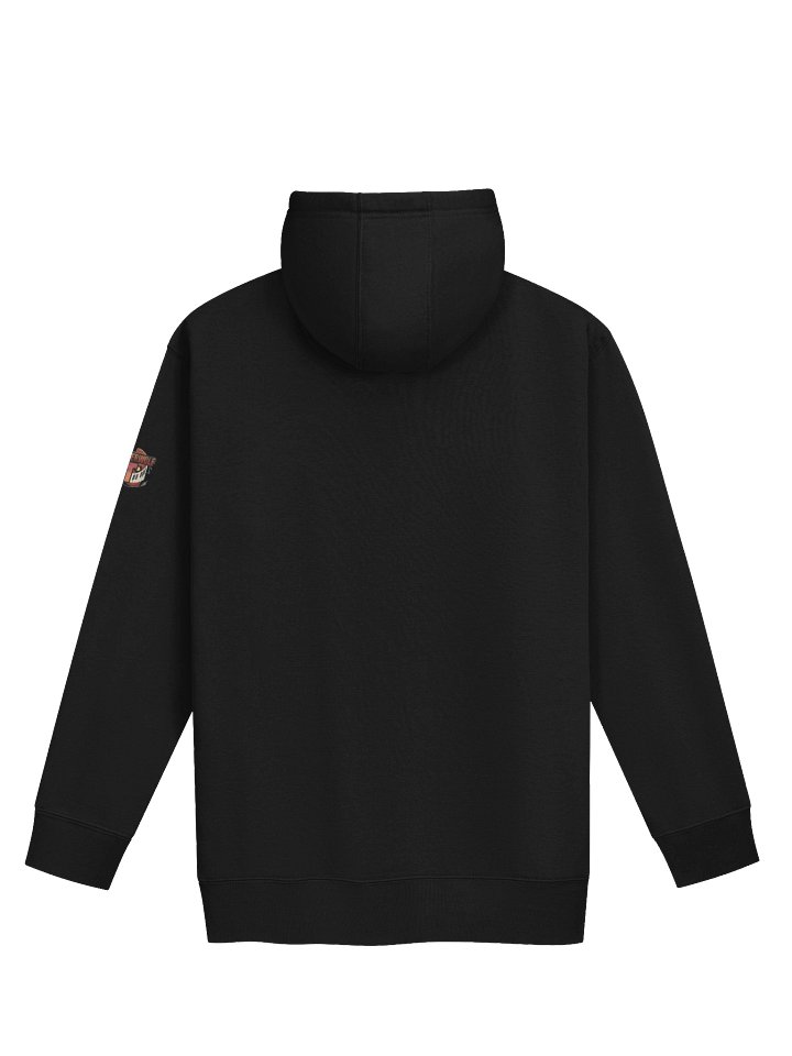 Coaster metro thrill vibes hoodie product image (2)