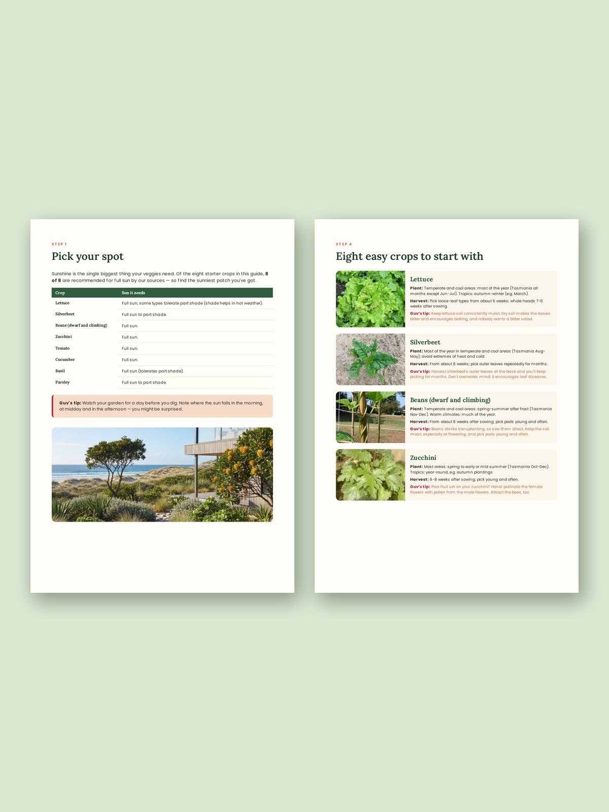 Grow Your First Veggie Patch (Australia Edition) product image (2)