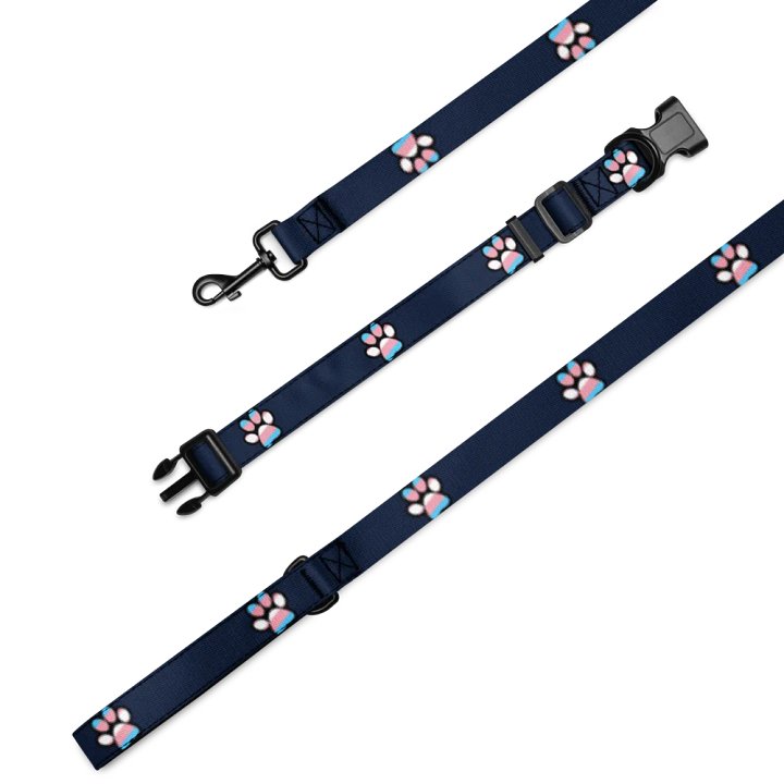 Trans Paw Print Leash & Collar Set product image (2)