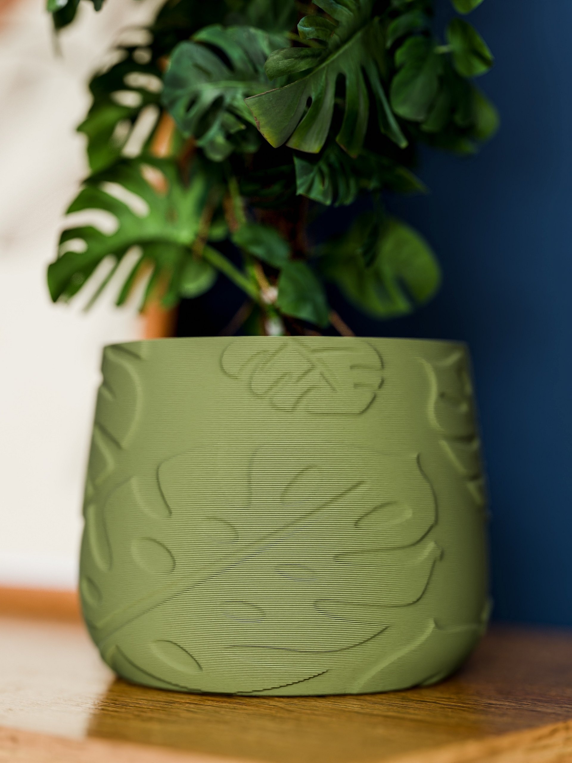 Indoor Plant Pot with Monstera Texture product image (5)