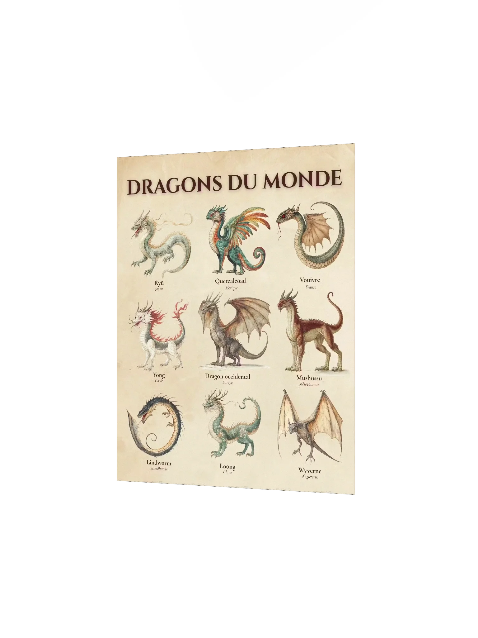 Poster Dragons du Monde - vue 2