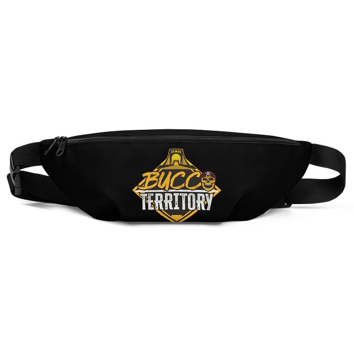 Fanny Pack product image (1)