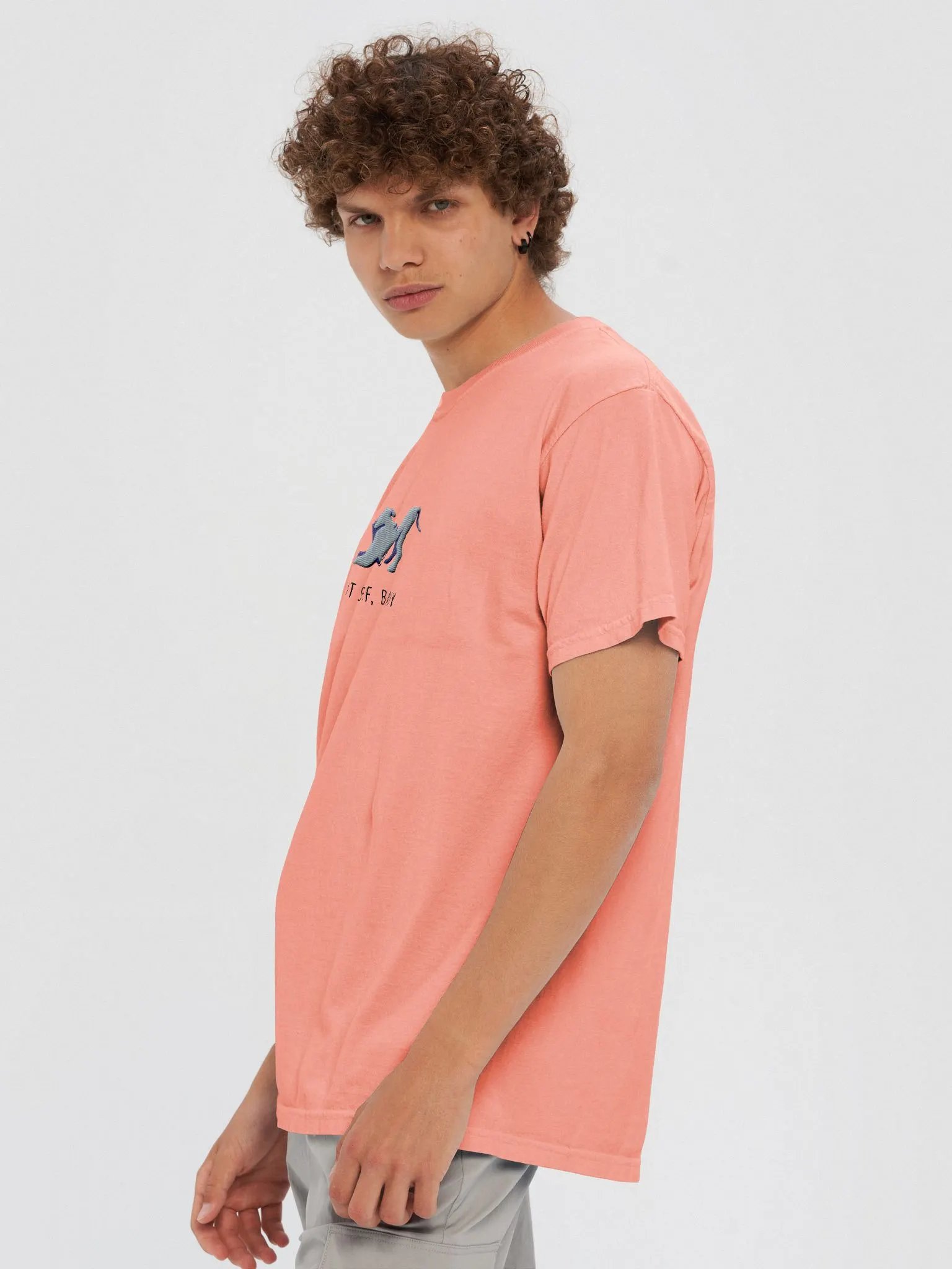 Hot Staff, Baby T-Shirt(Embroidered) of a Staffordshire Terrier(Blue) product image (9)