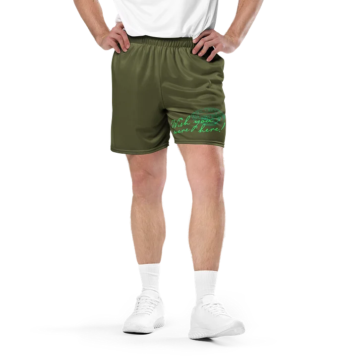 L'Agence Wish You Were Here! Mesh Shorts Green product image (1)