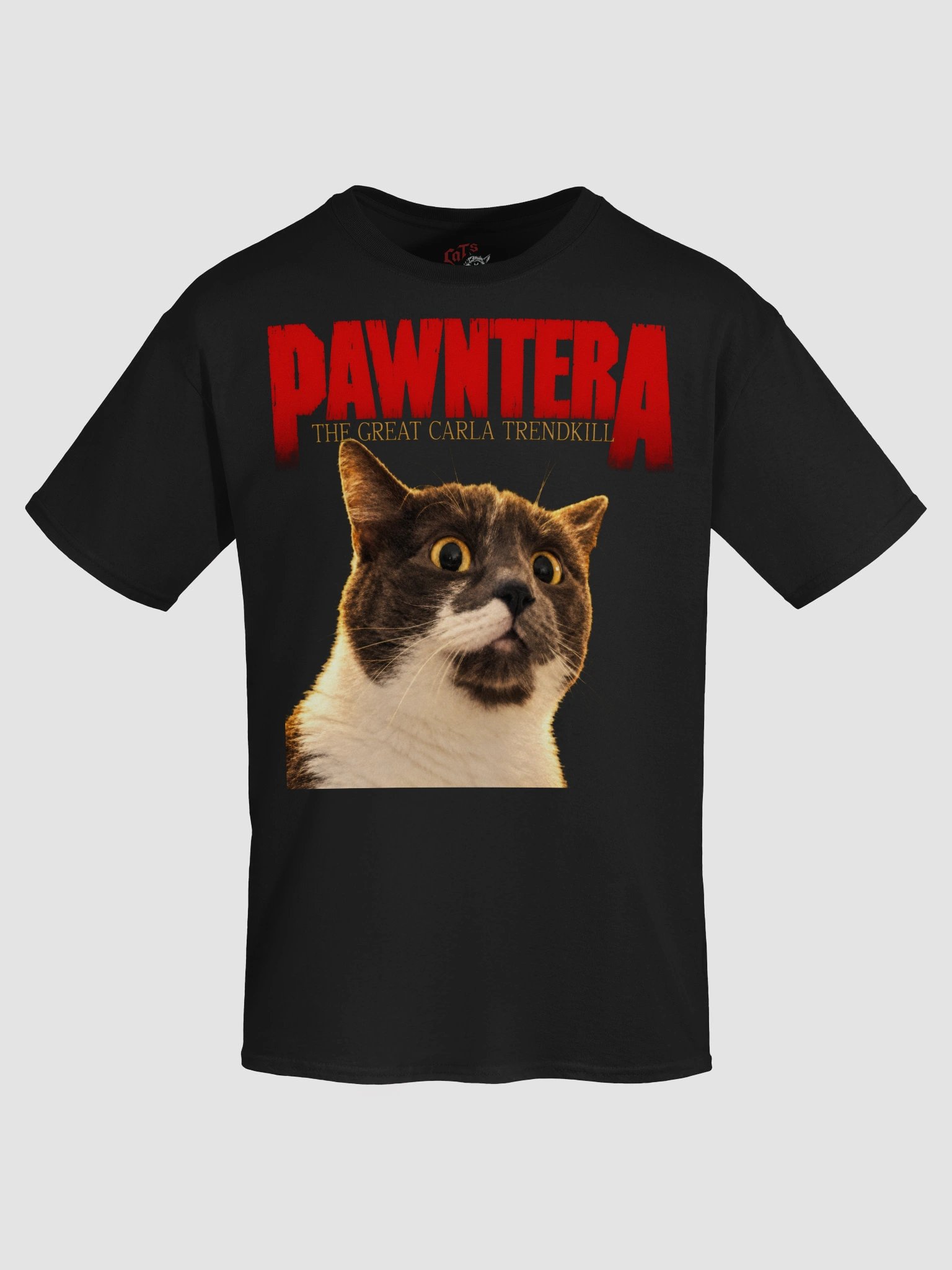 Carla Pawntera Tee product image (1)