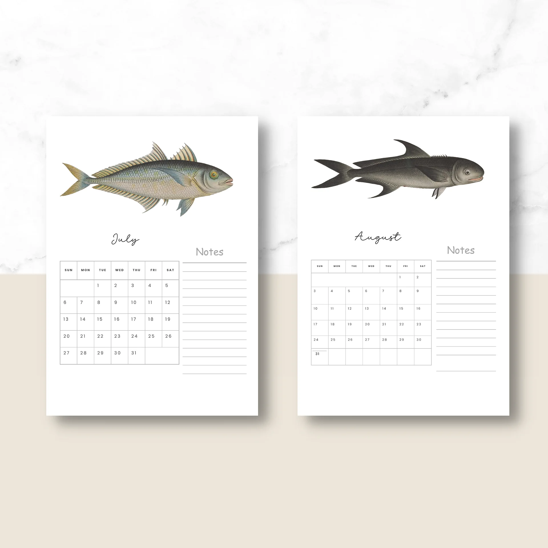 2025- 2026 PDF Calendar: Ocean Life product image (5)