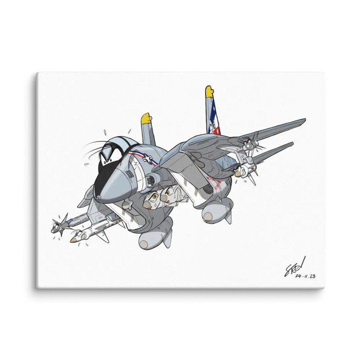 F-14 Tomcat Canvas (Charity Sale) product image (1)