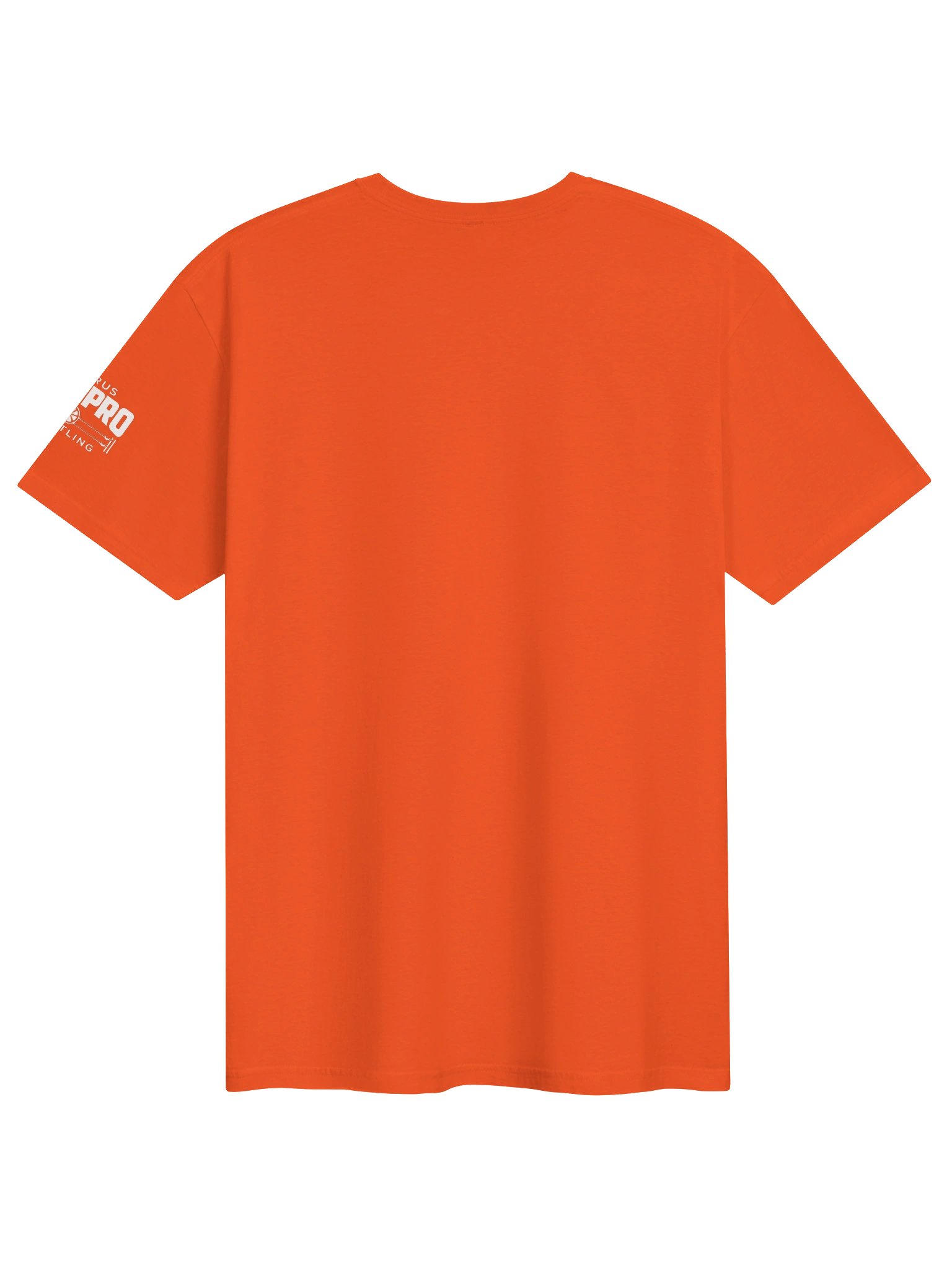 CAPW "Pulp Friction" Vintage Graphic Tee product image (2)