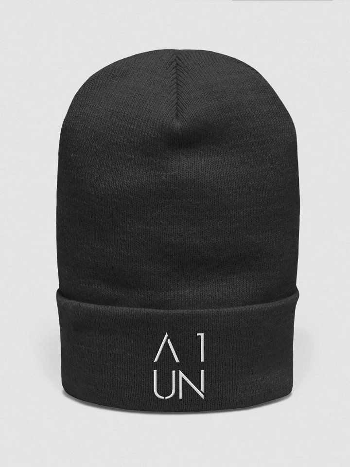 Cuffed Beanie product image (2)