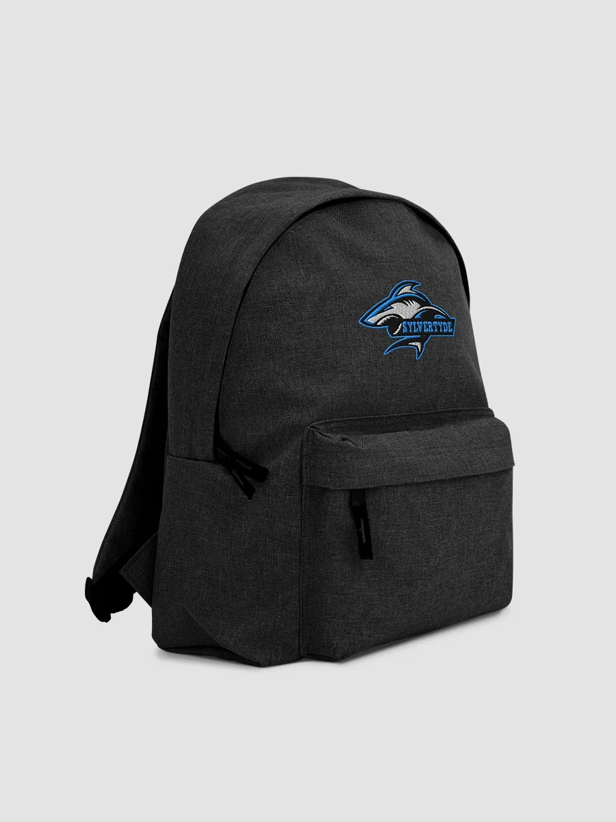 Sylver's Embroidered Backpack product image (3)