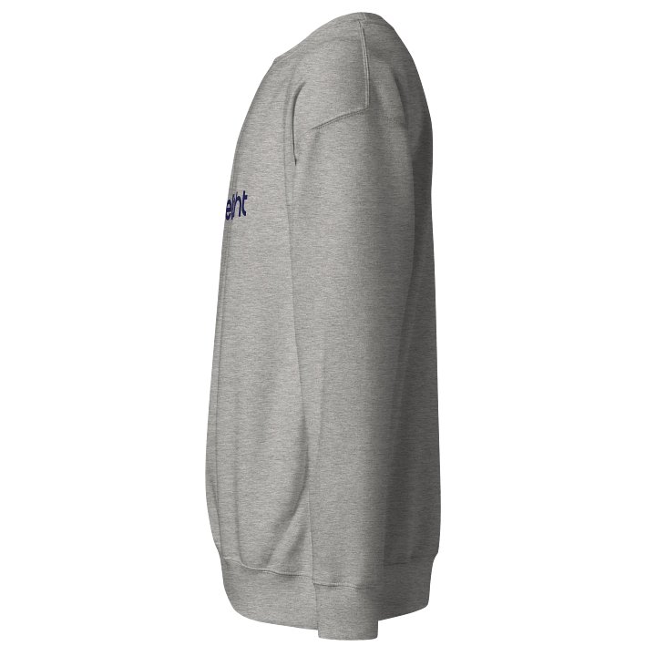 Bluelight Logo Premium Sweatshirt product image (2)