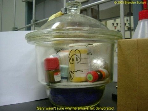 From the vault. Glassware shenanigans…

#chemistry #chem #chemistrylab #organicchemistry #glassware