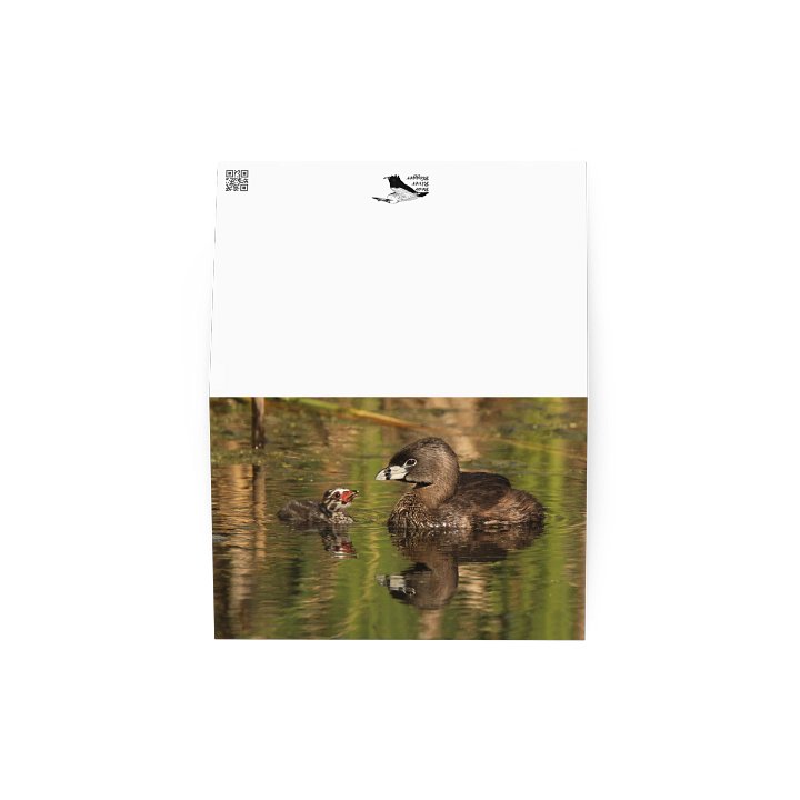 Pied-billed Grebe Greeting Card product image (2)