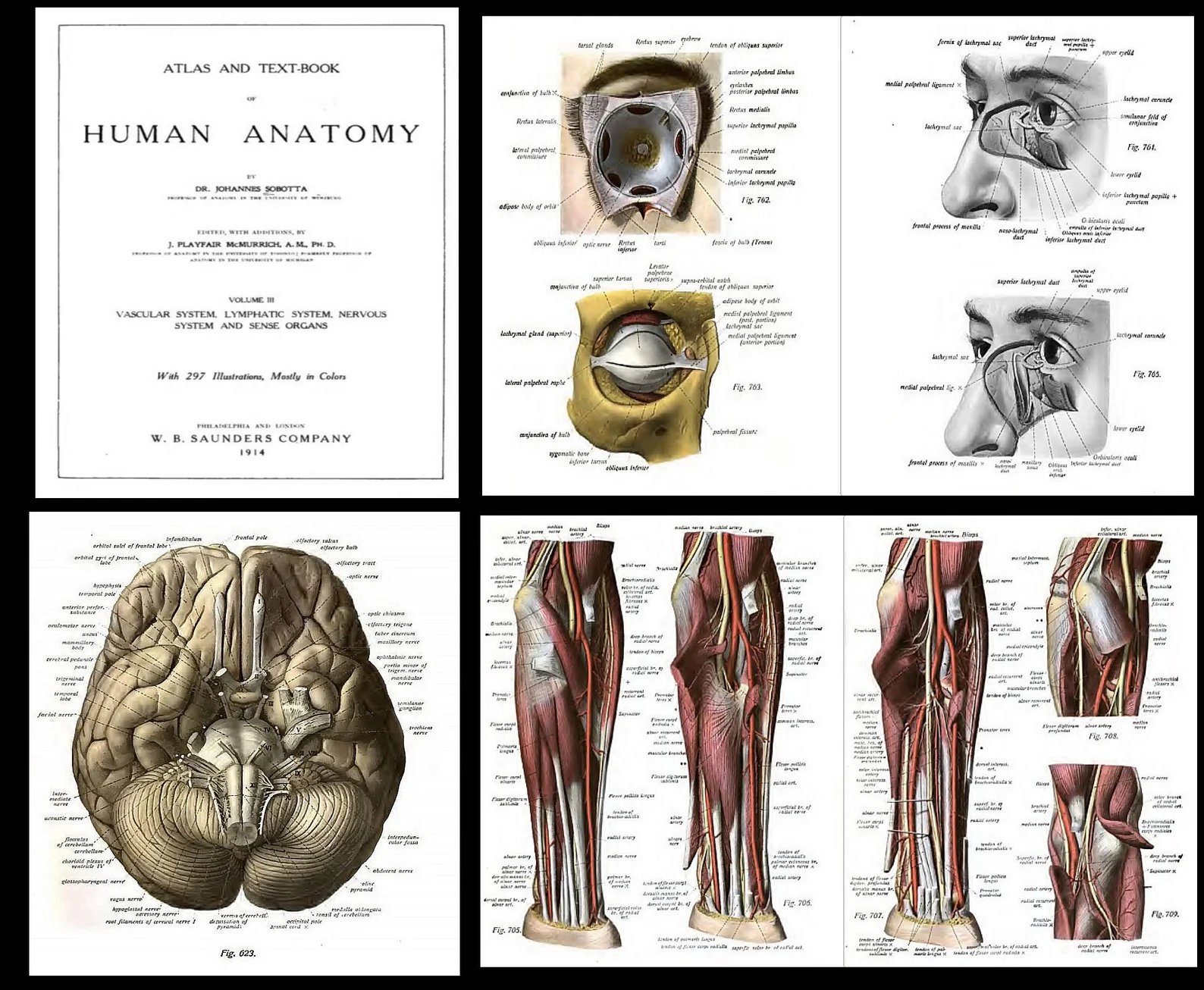 320 Rare Surgery Books product image (5)