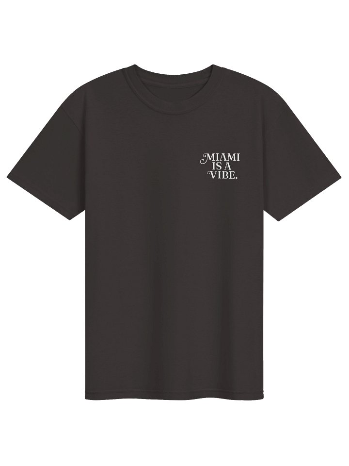 Miami Is A Vibe T-Shirt - Graphite / Seafoam product image (1)